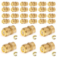 30-Pack 3/4" x 3/4" F Push Fit Female Adapter